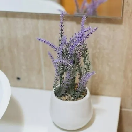 Apartment Carlina By Cardi *